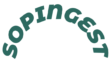SOPINGEST